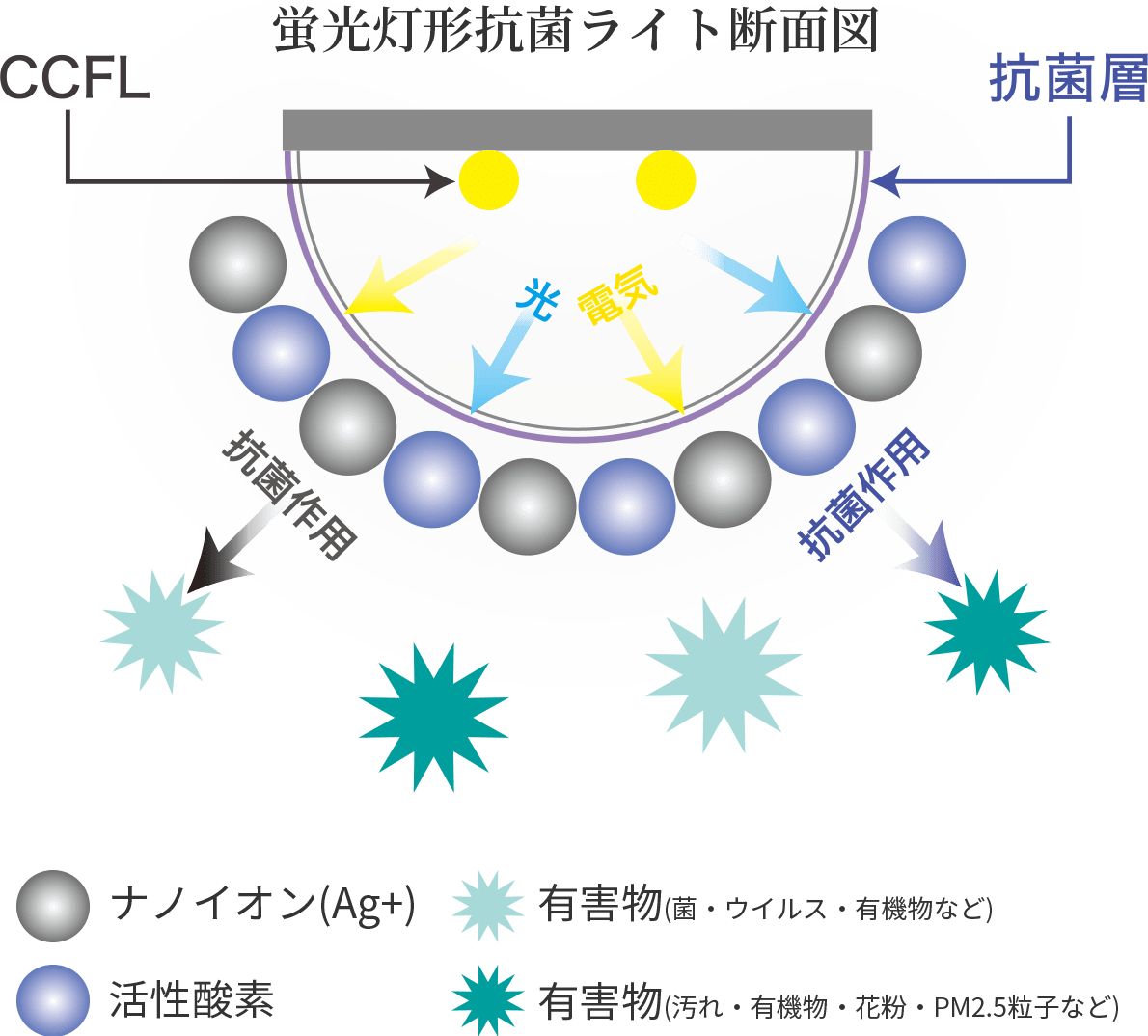 蛍光灯形抗菌ライト断面図