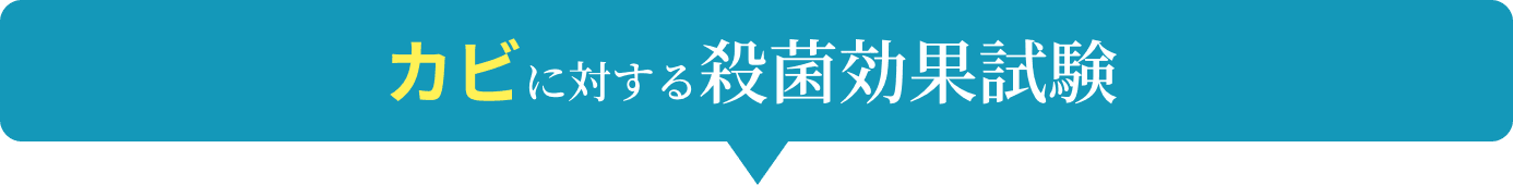 カビに対する殺菌効果試験