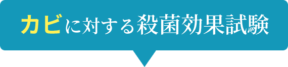 カビに対する殺菌効果試験